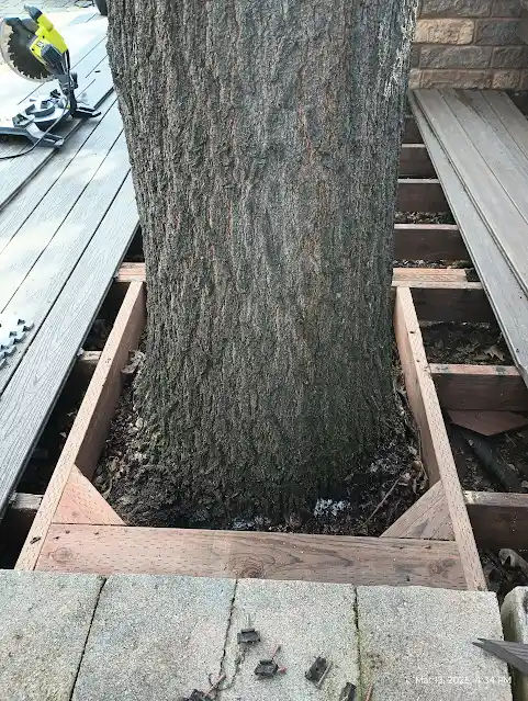 Deck repair before